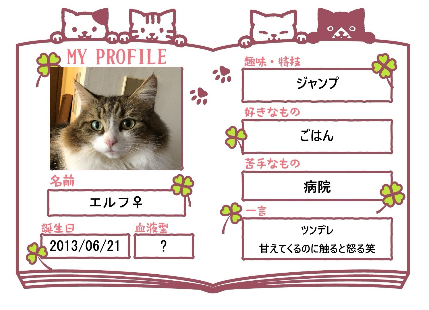 エルフのプロフィール