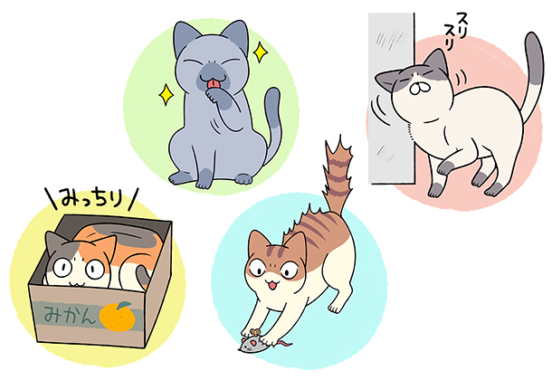 猫とのコミュニケーション