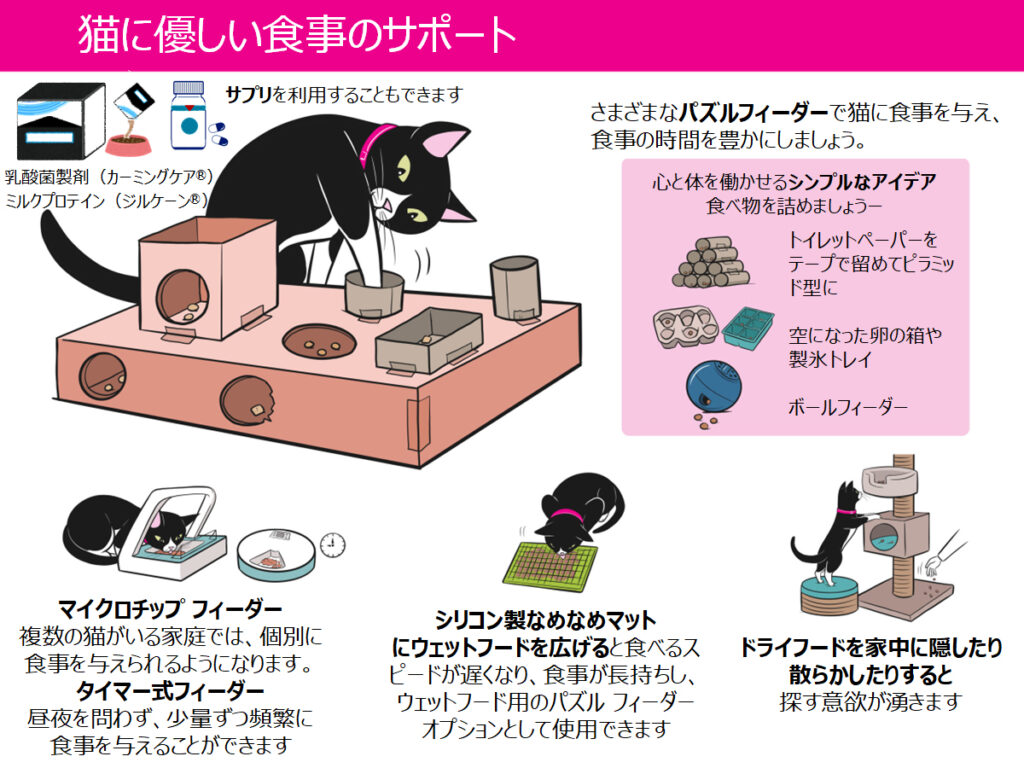 猫の食事環境