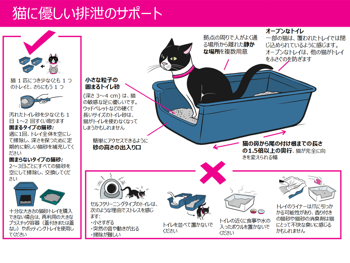 猫の快適な環境