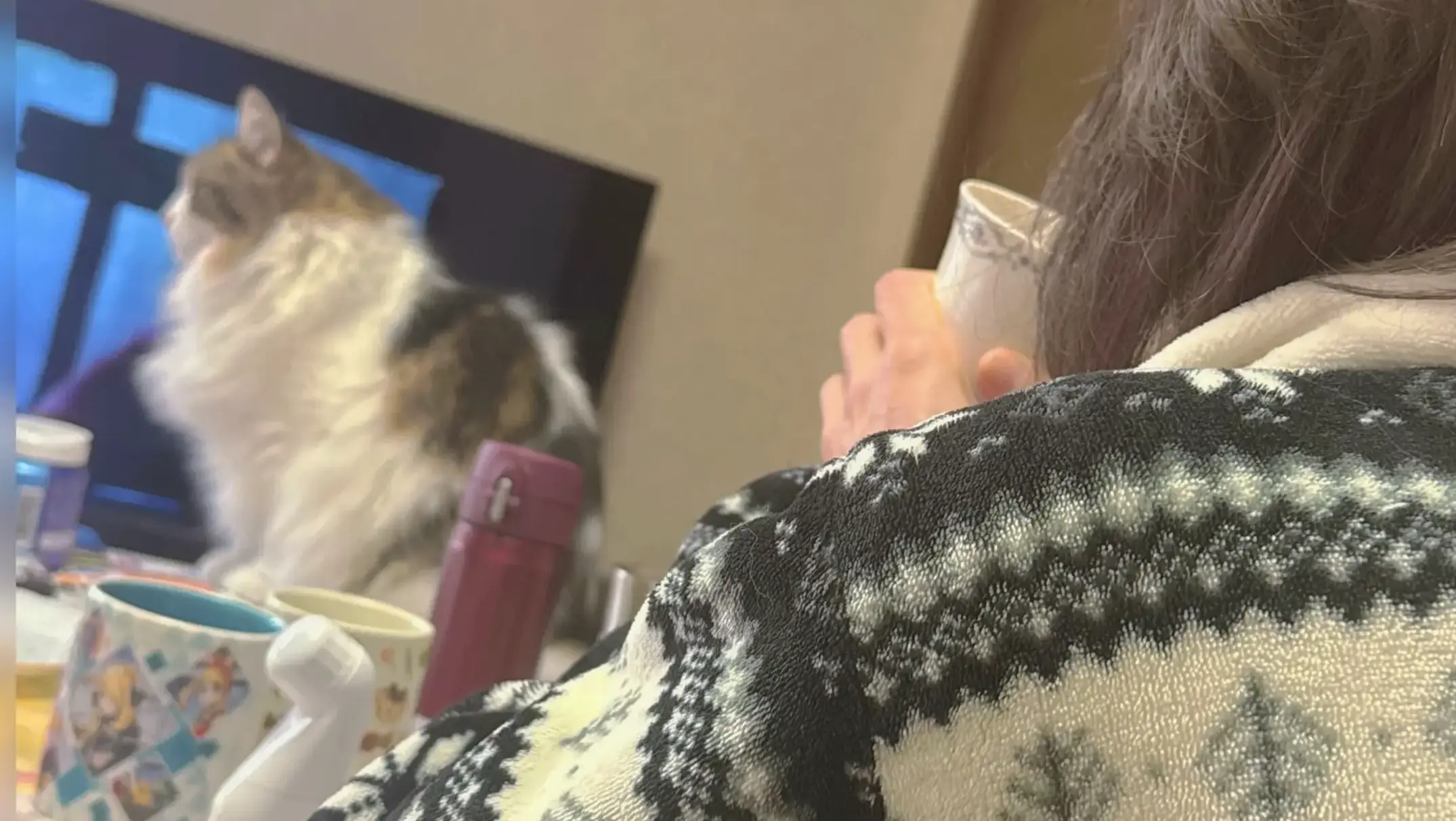 猫の写真撮影テクニック：スマホで簡単にかわいく撮るコツ
