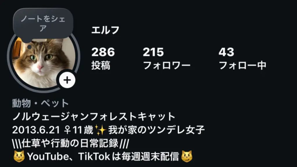 猫アカウントの始め方完全ガイド！0から始めるフォロワー獲得術【超初心者向け・投稿の仕方から丁寧に解説】