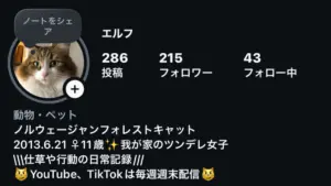 猫アカウントの始め方完全ガイド！0から始めるフォロワー獲得術【超初心者向け・投稿の仕方から丁寧に解説】